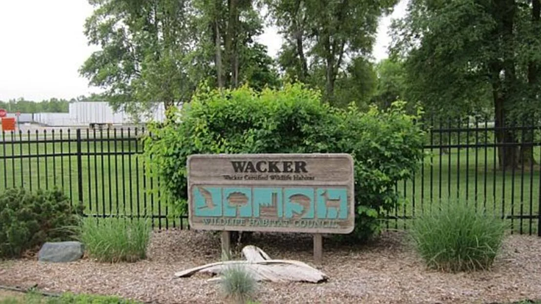 Wooden sign reading 'Wacker Certified Wildlife Habitat' with Wildlife Habitat Council logo, displayed in front of greenery and a black fence.